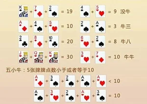 【最新】十三支玩法攻略｜比牌技巧與排法，線上娛樂更精彩！